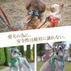 愛犬のために。安全第一。