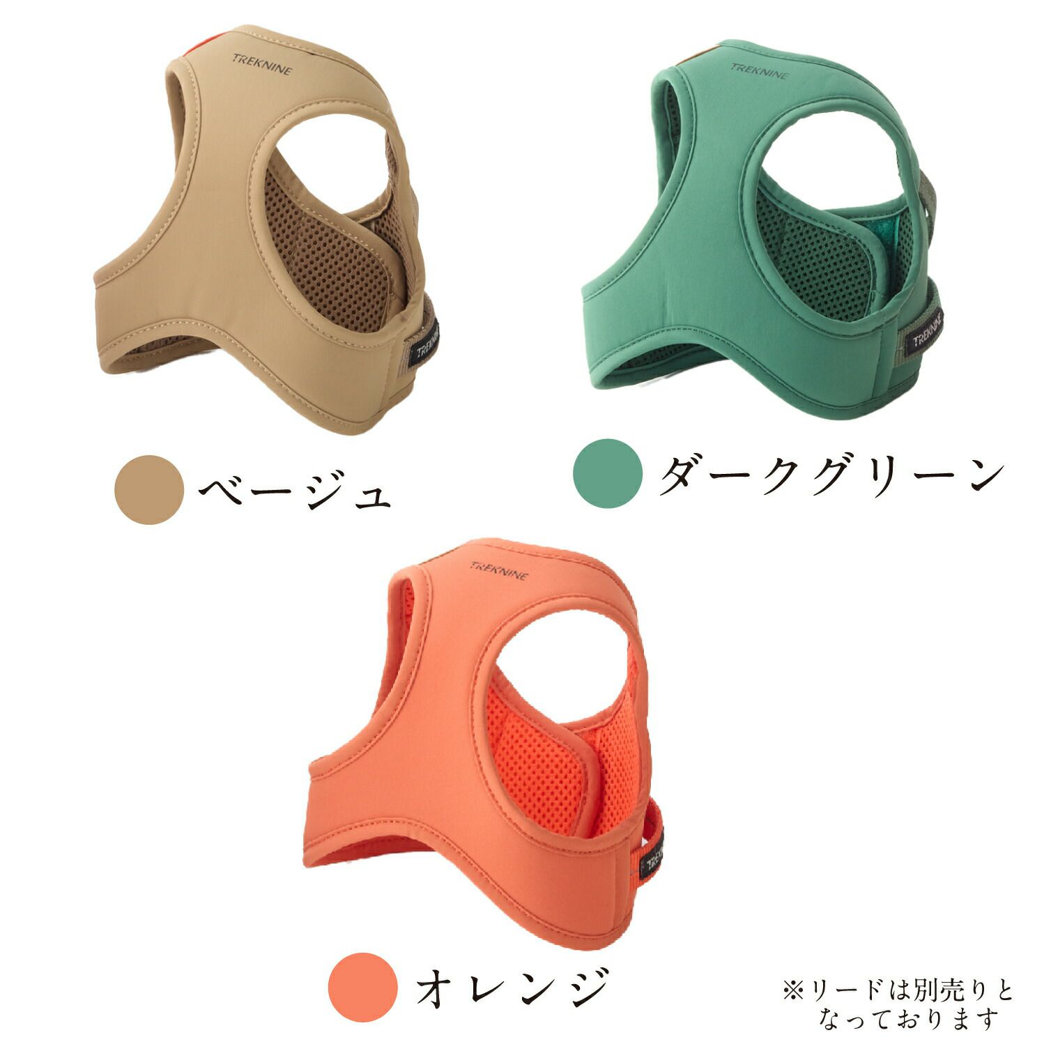 スタイリッシュなカラーリング