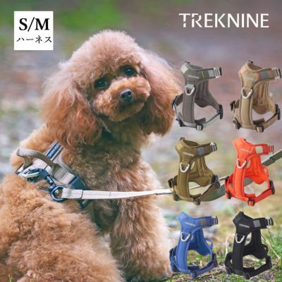 犬の首輪 アイドッグ - 犬 猫ペット用品通販 IDOG&ICAT | ペット