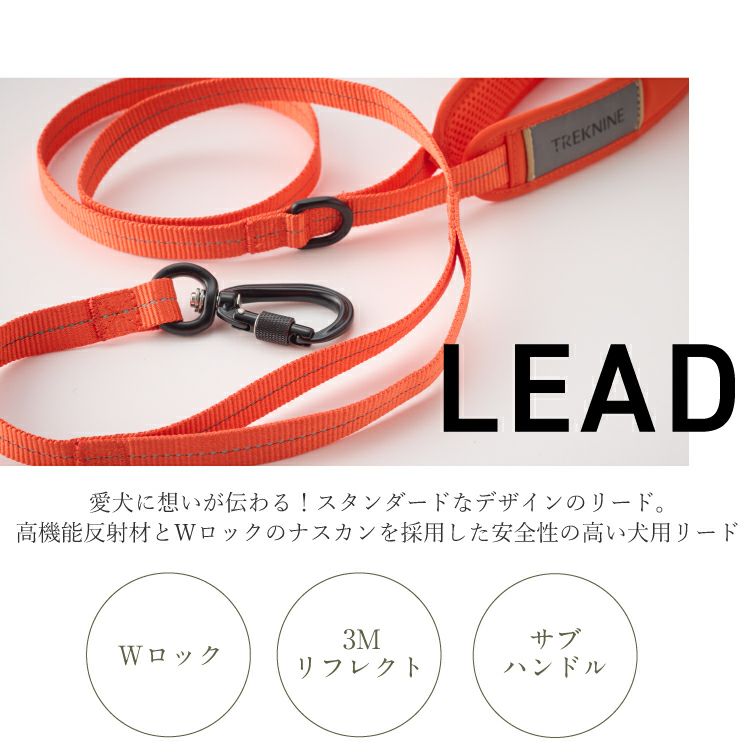 000000003381-02-l.jpg?t=