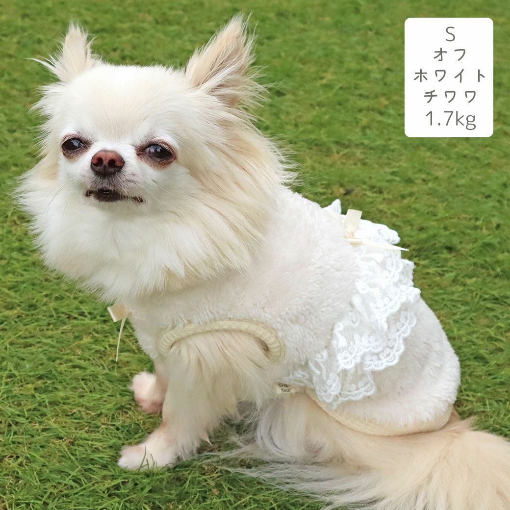 チワワ1.7kg(首18/胴27.5/丈22cm)のトロくんはオフホワイトのSを着用