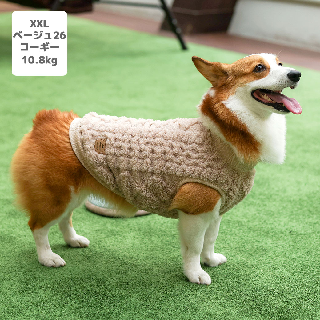 チワワ2.1kg(首19.5/胴30.5/丈22cm)の玉青ちゃん【手前】はオフホワイトのS、1.7kg(首19/胴28.5/丈21cm)の小桃ちゃん【奥】はライトベージュ25のXSを着用