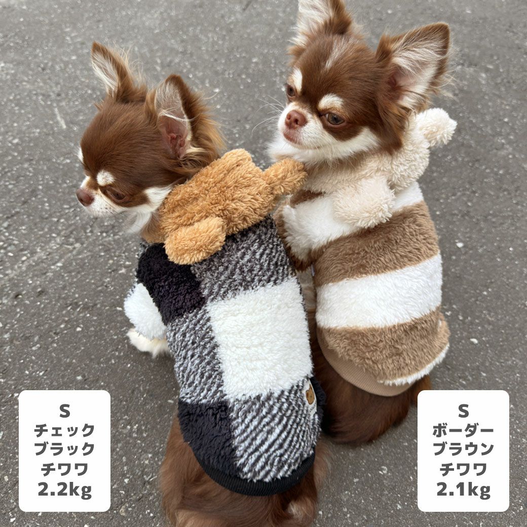チワワ2.2kg(首18.5/胴30/丈30cm)のピクルスくんはチェックブラックのSを、チワワ2.1kg(首19.5/胴30/丈30cm)のオリーブくんはボーダーブラウンのSを着用