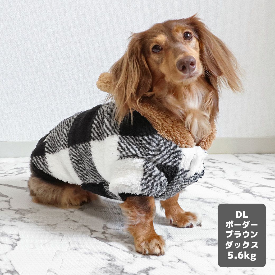 カニヘンダックス5.6kg(首35/胴43/丈37cm)のハクくんはチェックブラックのDLを着用