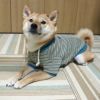 動きやすい工夫がいっぱいの犬用洋服