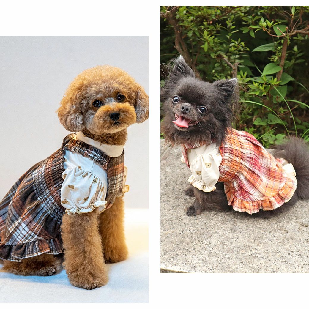 重ね着コーデをたのしもう