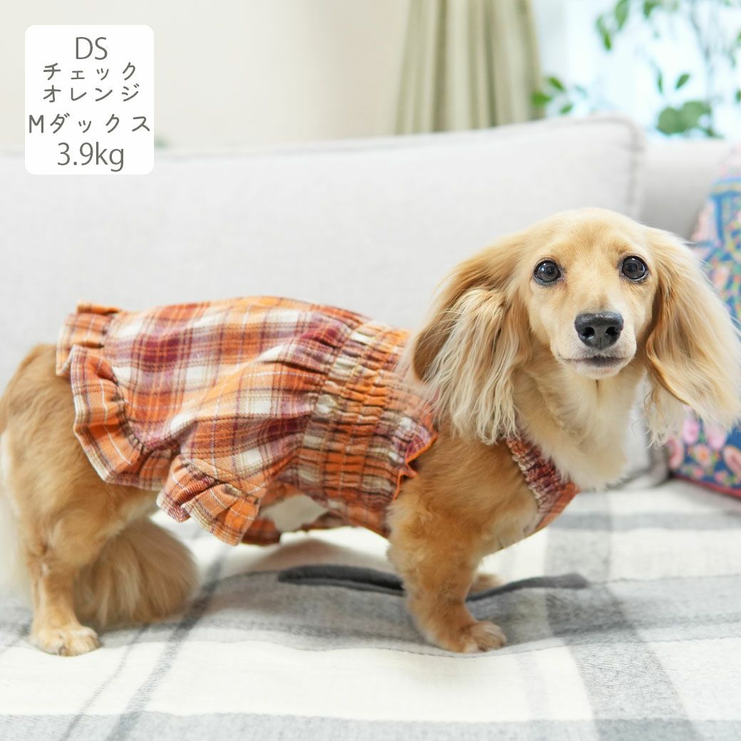 ミニチュアダックス3.9kg(首25/胴37/丈31cm)のクムちゃんはチェックオレンジとチェックピンクのDSを着用