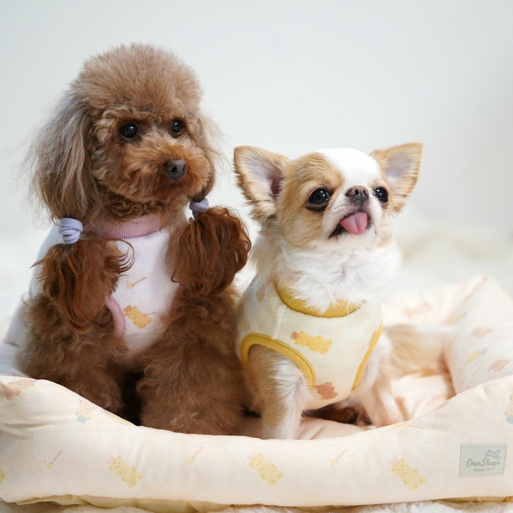 トイプー2.8kgのグミちゃんとチワワ2.6kgのこつぶはハニーベアを使用<