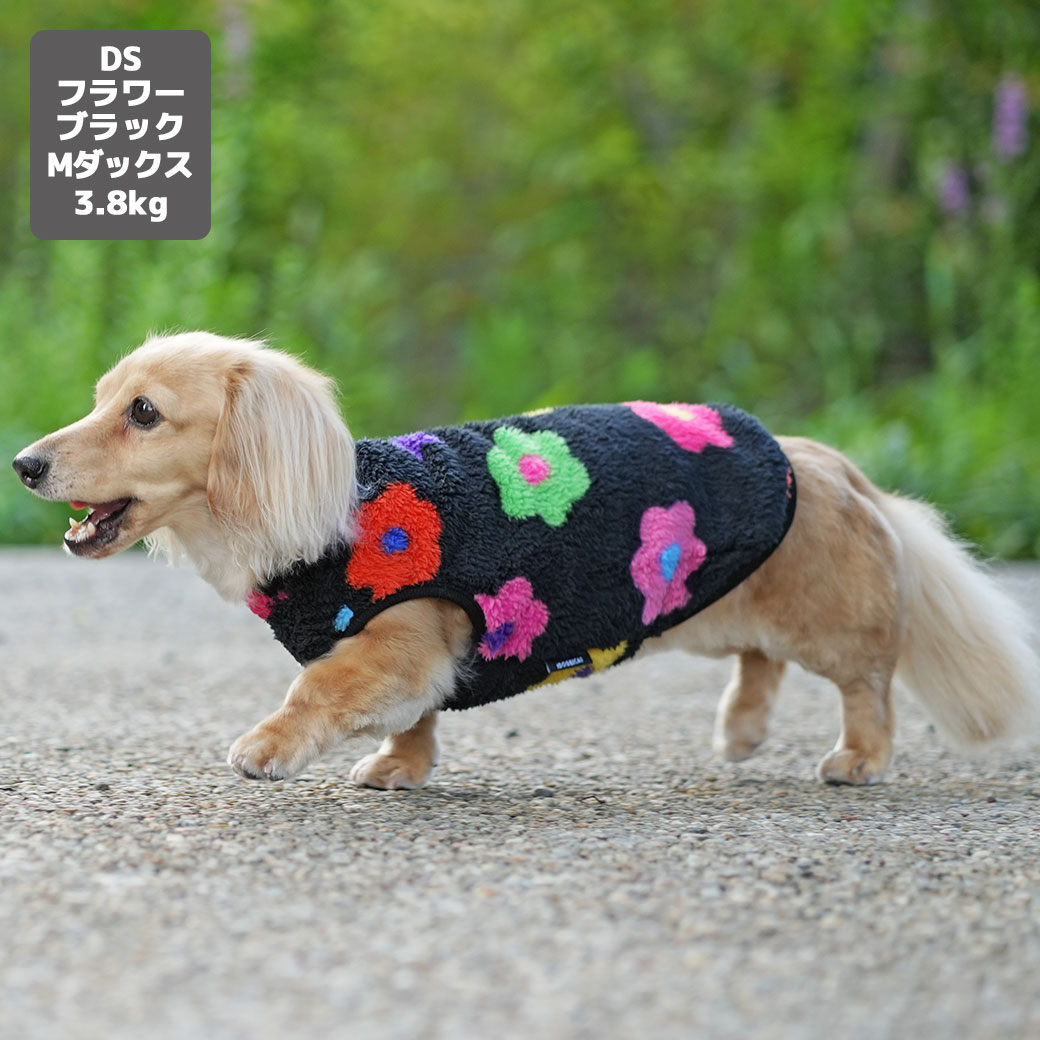 チワワ2.7kg(首19/胴30/丈27cm)のこむぎくん【左】はボーダーグリーンのS、1.7kg(首18/胴23/丈27cm)のざらめちゃん【右】はチェックDのXSを着用