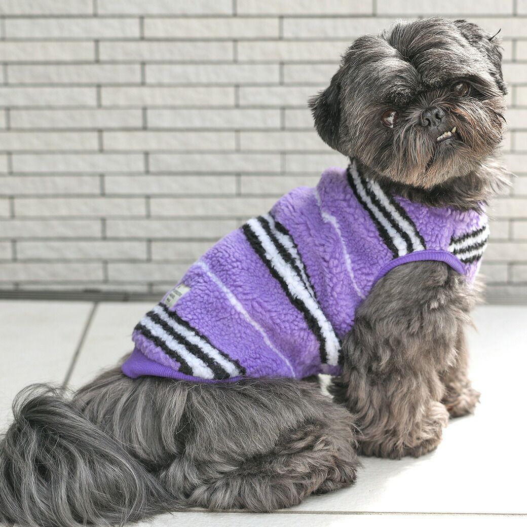 シーズー5.4kg(首26/胴38/丈38cm)のつぶくんはボーダーパープルのLを着用
