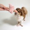 愛犬とのコミュニケーション