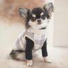 子供服みたいでかわいい！犬用アウター