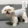 MIX4.2kg(首24/胴38/丈30cm)のとろろくんはチェックオフホワイトのMを着用