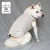 豆柴6.0kg(首31/胴45/丈33cm)のラテちゃんはチェックオフホワイトのLを着用