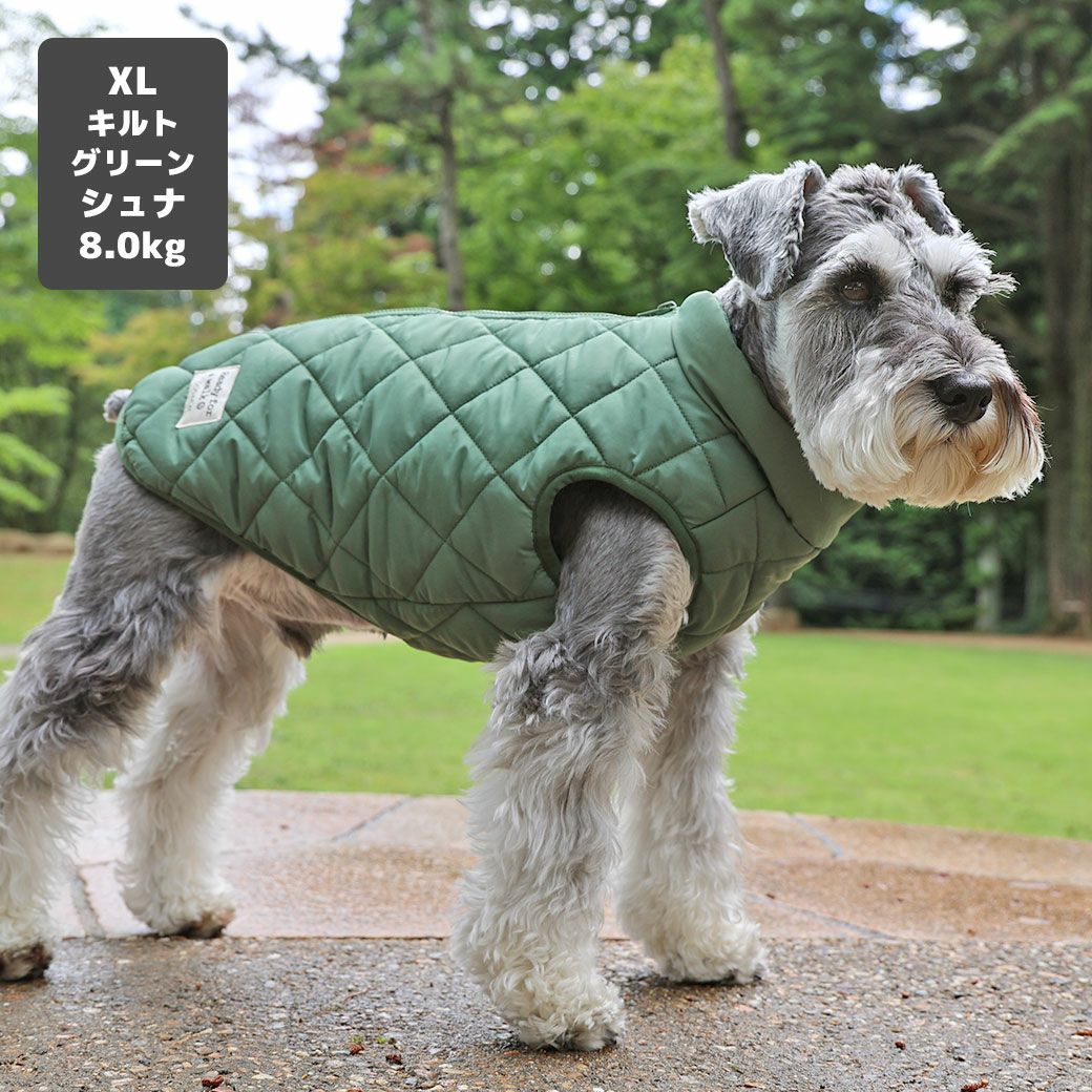 ミニチュアシュナウザー8.0kg(首30/胴48/丈37cm)のマハロくんはキルトグリーンのXLを着用