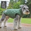 ミニチュアシュナウザー8.0kg(首30/胴48/丈37cm)のマハロくんはキルトグリーンのXLを着用