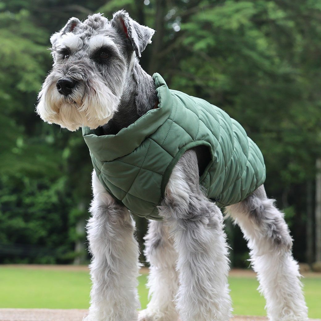 寒い日も暖かさを愛犬に提供する防寒ウェア