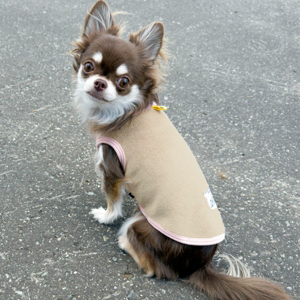 チワワ2.5kg(首18.5/胴30/丈30cm)のピクルスくんはベージュのSを着用