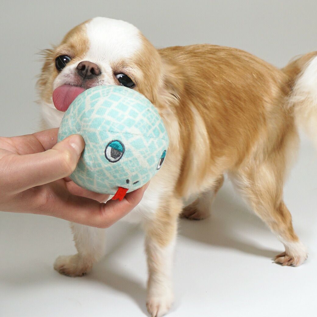 iDogオリジナルのユニークなデザイン