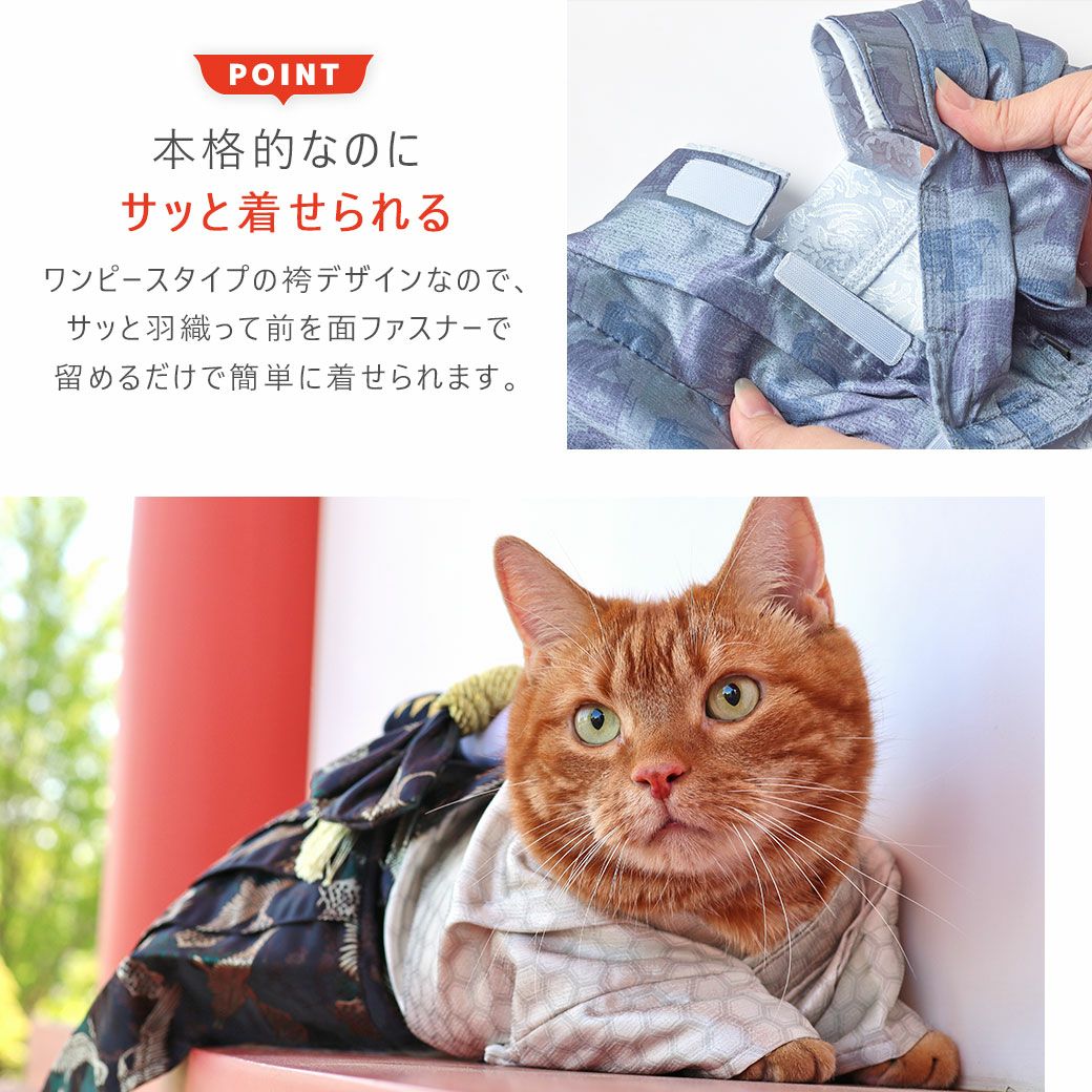 本格的なのにサッと着せられる