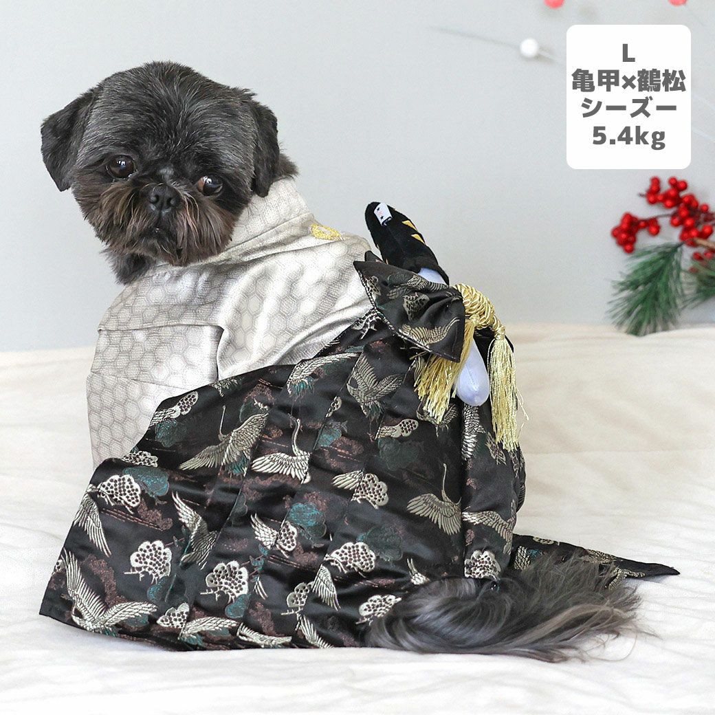 シーズー5.4kg(首26/胴38/丈38cm)のつぶくんは亀甲×鶴松のLを着用