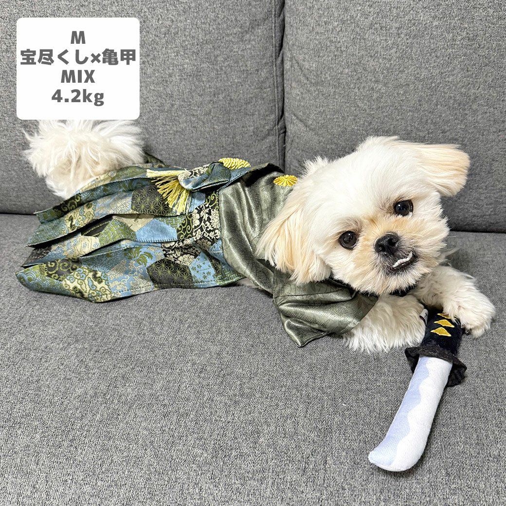 MIX4.2kg(首24/胴38/丈30cm)のとろろくんは宝尽くし×亀甲のMを着用