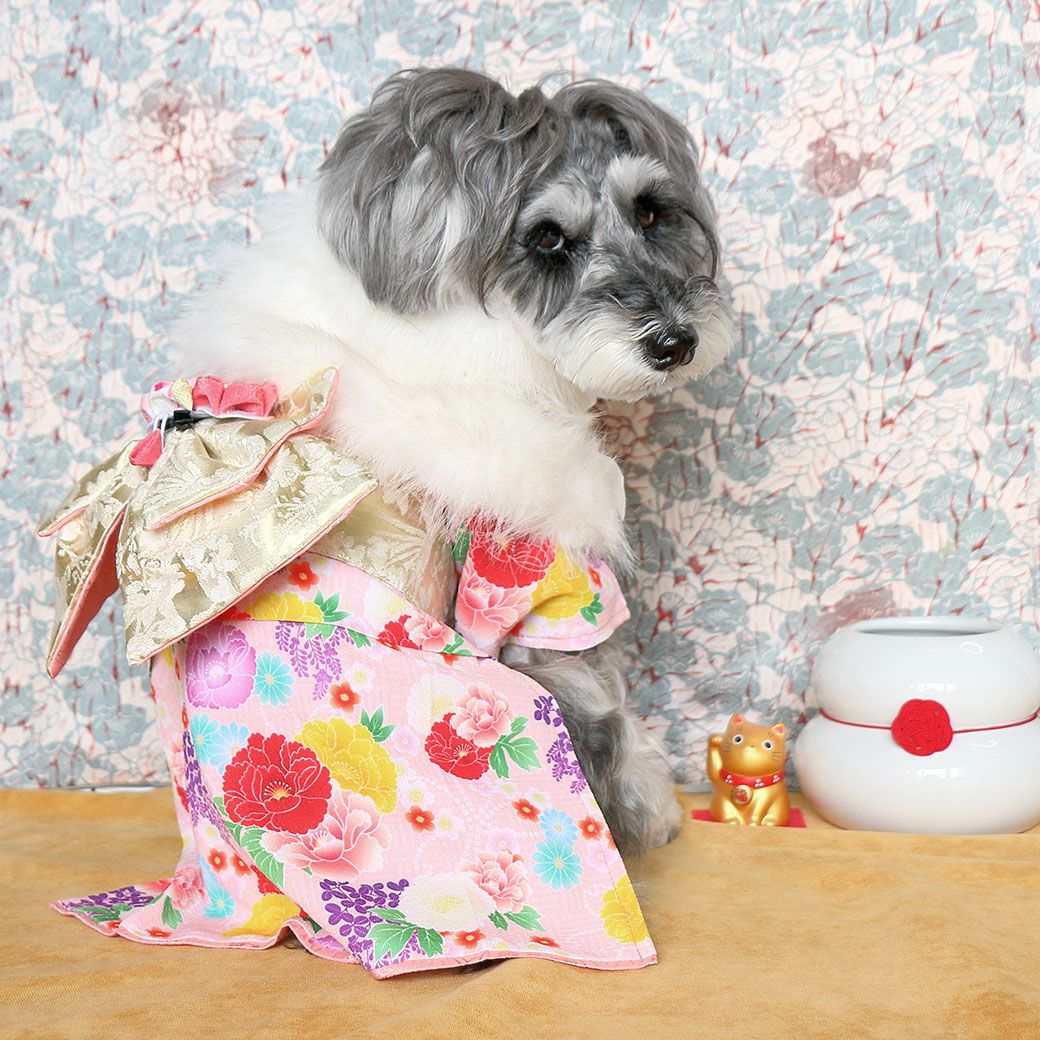 後ろからみても美しい着物で、見返り美人