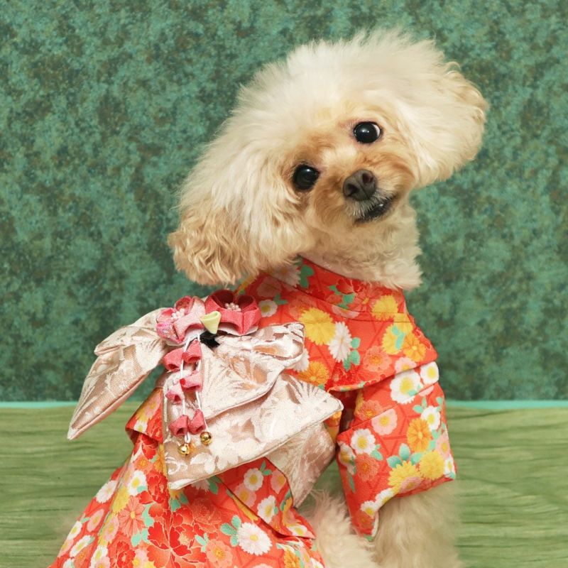 iDog 日本の伝統 華やか晴れ着 花飾り付き アイドッグ-犬猫用品通販