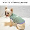 動きやすい工夫がいっぱいの犬用洋服