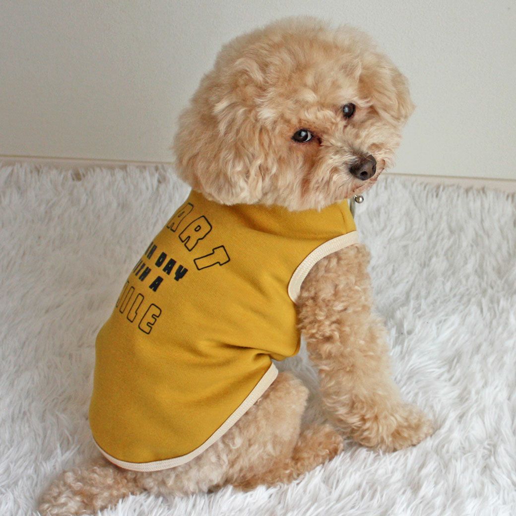 トイプー4.6kg(首25/胴40/丈34cm)のフク丸くんはマスタードのLを着用