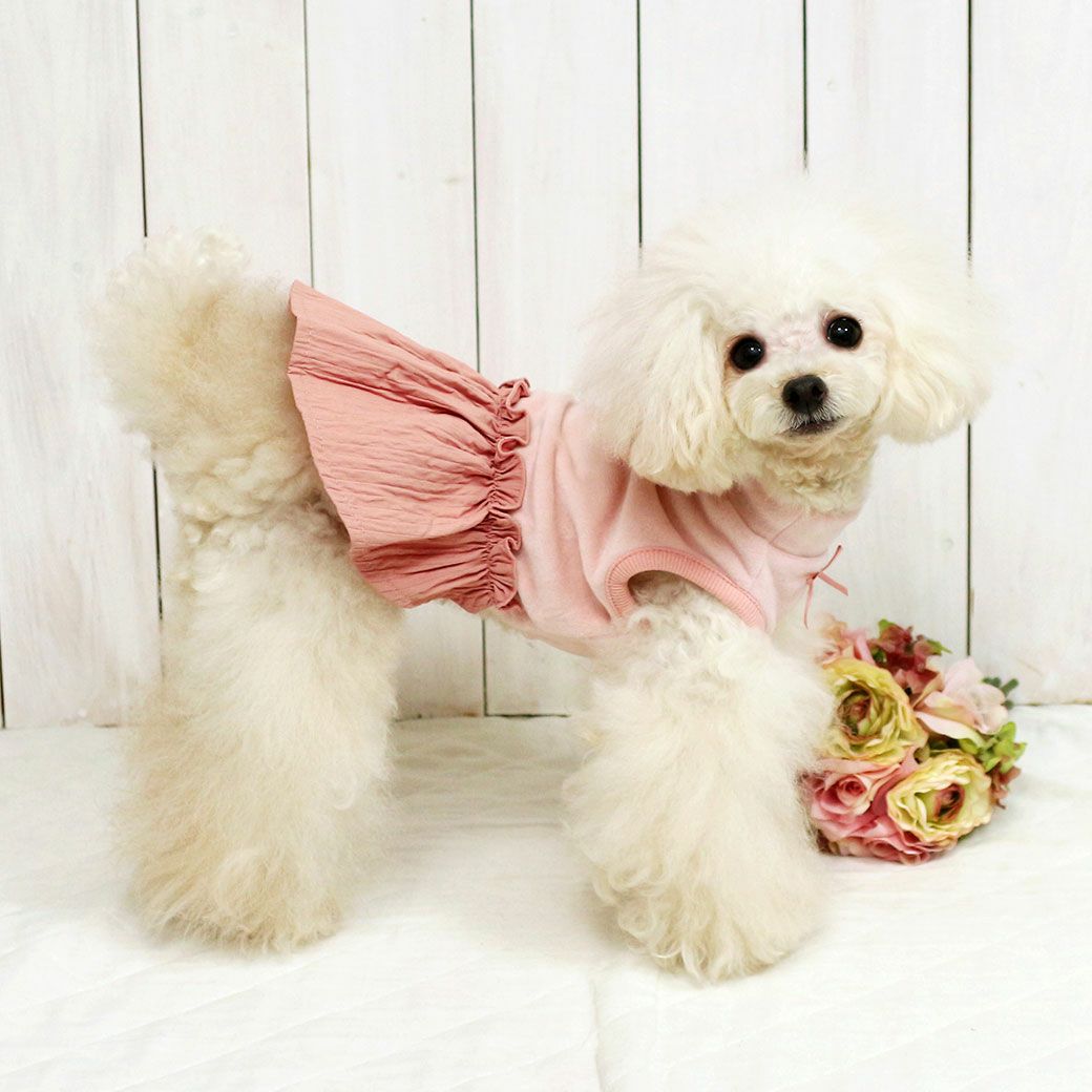 トイプー1.9kg(首17/胴29/丈22cm)のメリナちゃんはピンクのSを着用