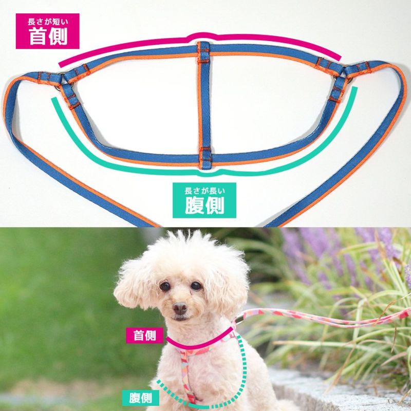 チワックス　ビーグル　愛犬 ankoわんこシリーズ　バッグリング　犬　dog チワックス ビーグル 愛犬 ankoわんこシリーズ バッグリング 犬
