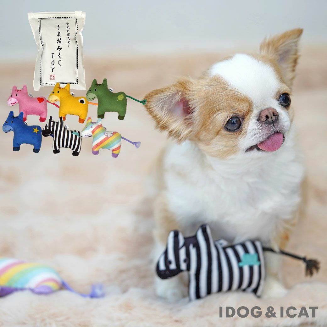 iDogうまおみくじアイドッグ