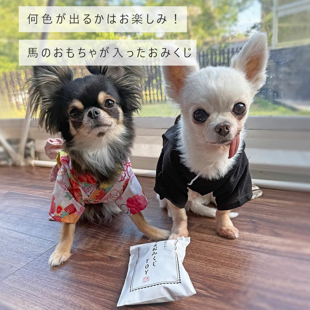 iDogうまおみくじアイドッグ