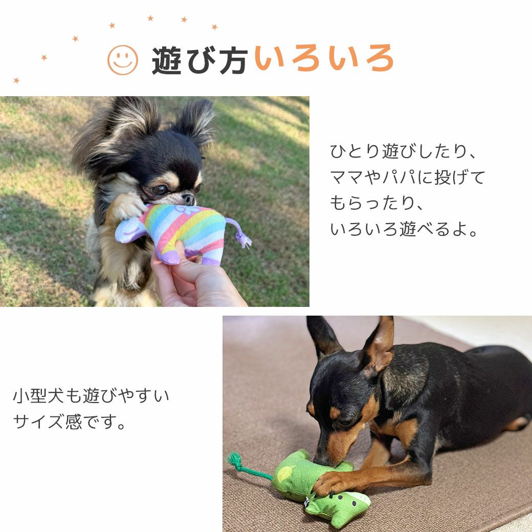 遊び方いろいろ