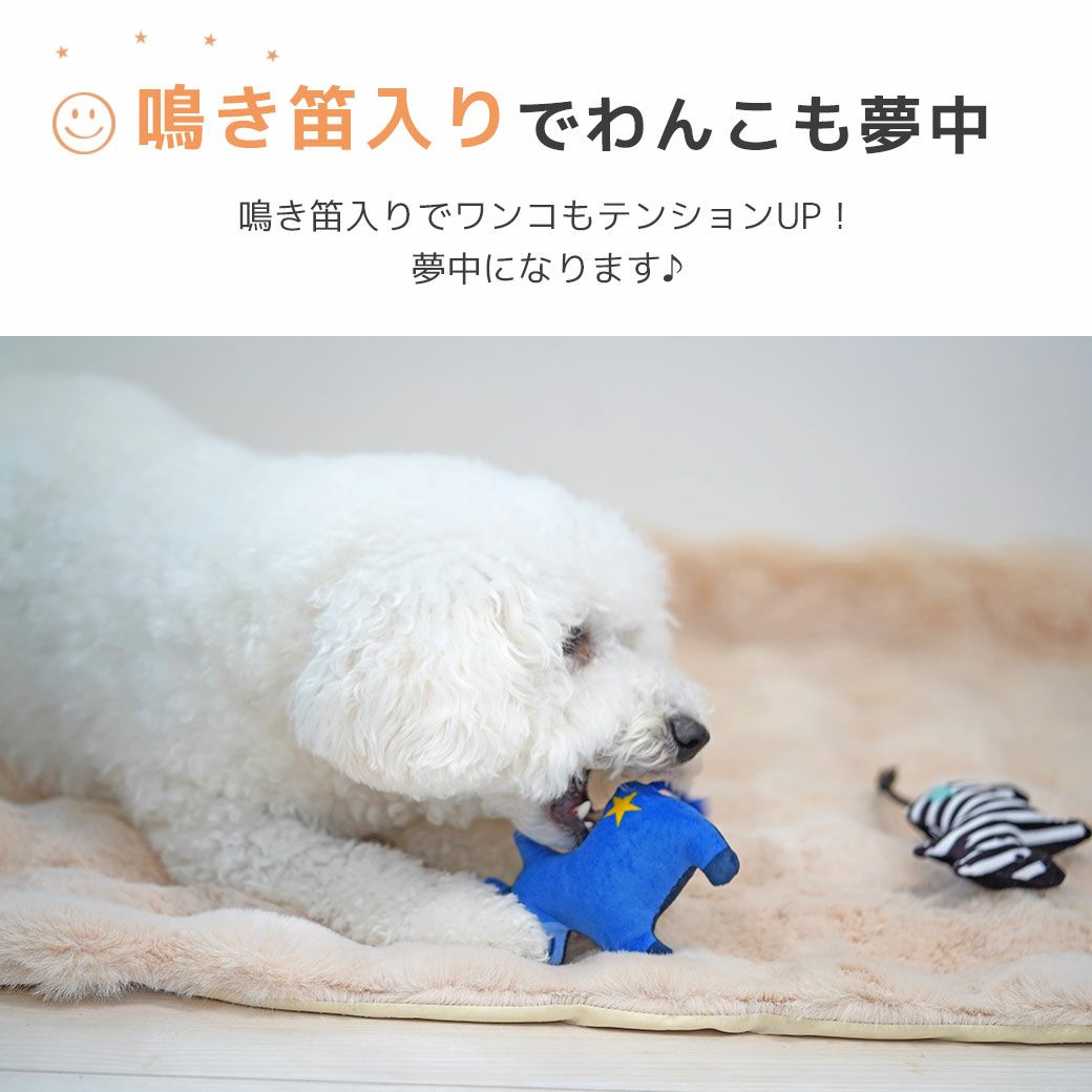 鳴き笛入りでわんこも夢中