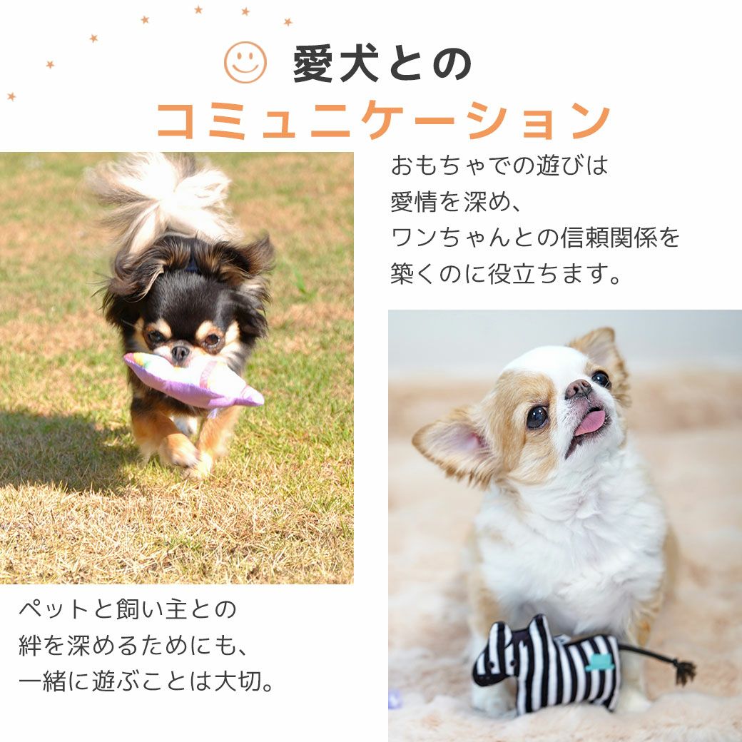 愛犬とのコミュニケーション