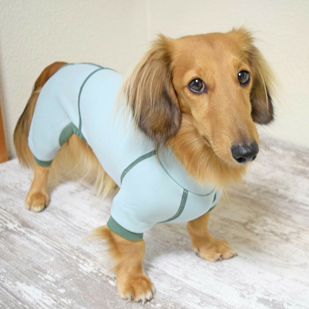 iDog 優しい着心地のロンパース アイドッグ-犬猫ペット用品通販