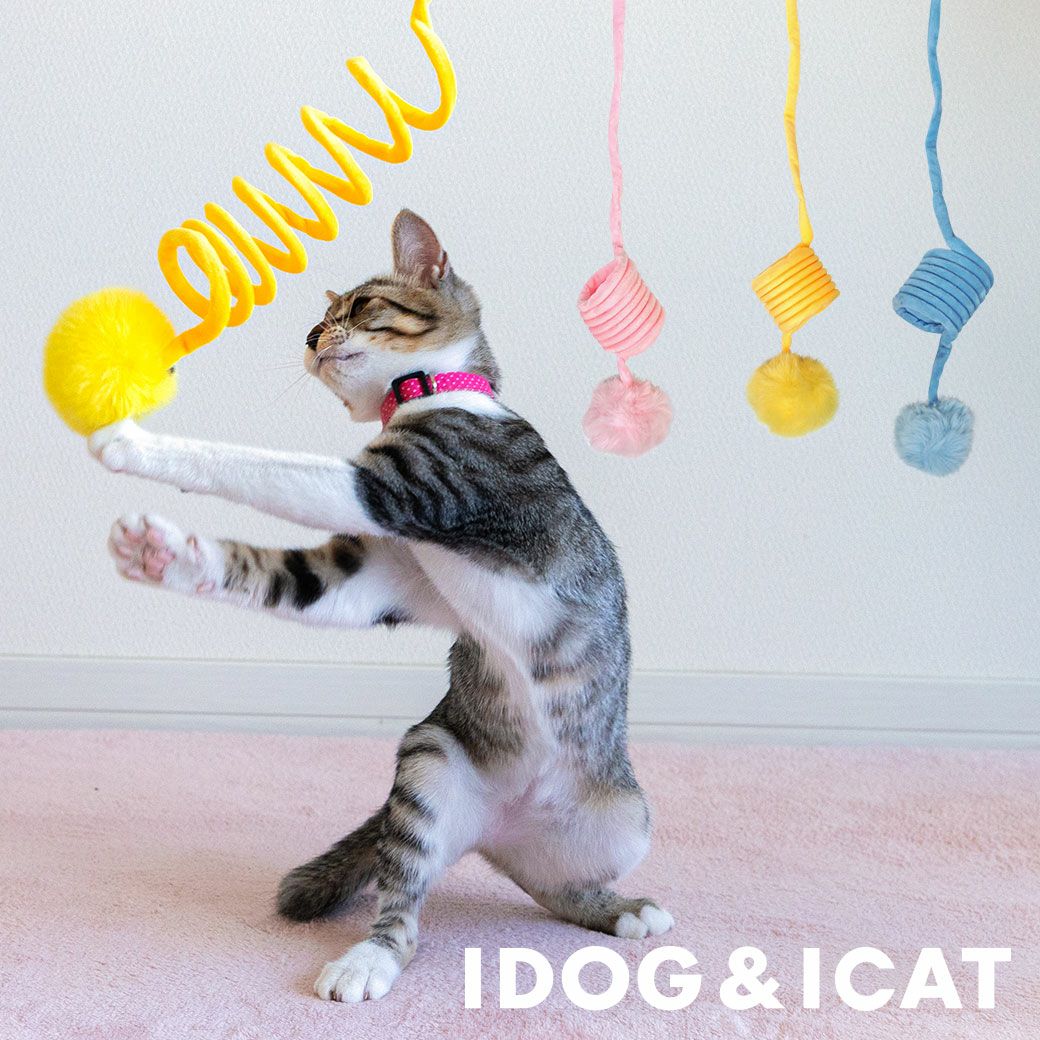 猫グッズ【値下げしました】 iCat 吊り下げびよよんじゃらし アイドッグ-犬猫ペット用品通販