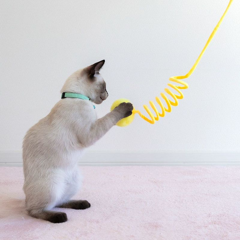 iCat 吊り下げびよよんじゃらし アイドッグ-犬猫ペット用品通販