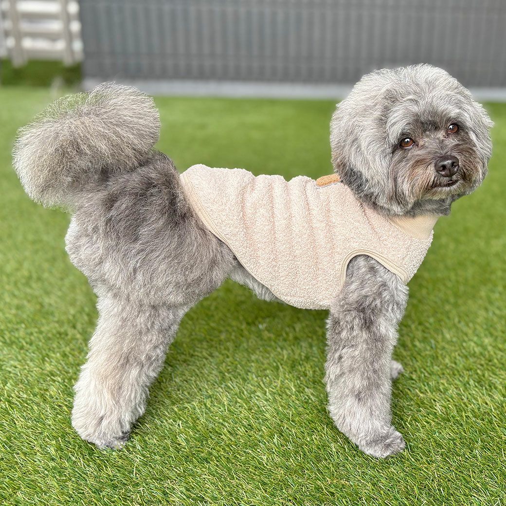 MIX5.3kg(首28/胴42/丈35cm)のごまくんはオフのLを着用