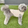 MIX5.3kg(首28/胴42/丈35cm)のごまくんはオフのLを着用