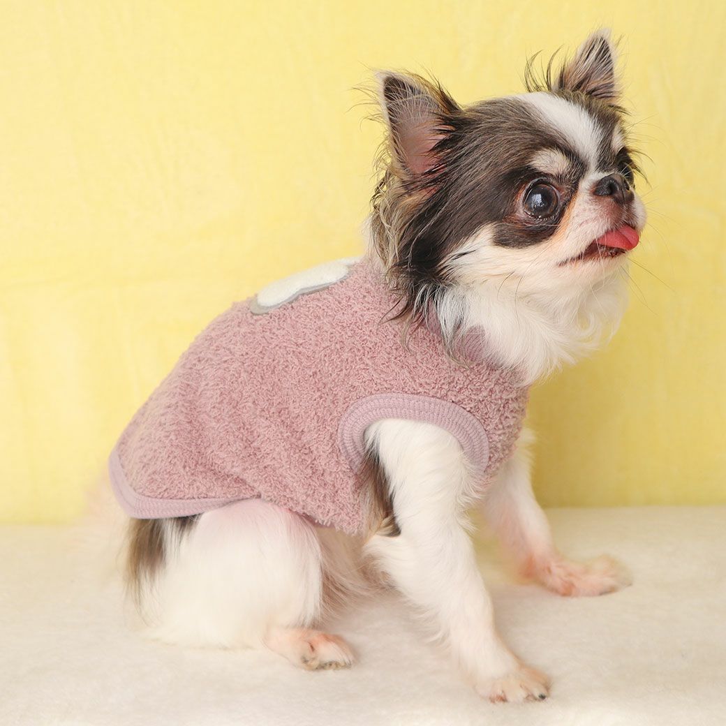 チワワ1.7kg(首18/胴27.5/丈18cm)の小真知ちゃんはモスピンクのXSを着用