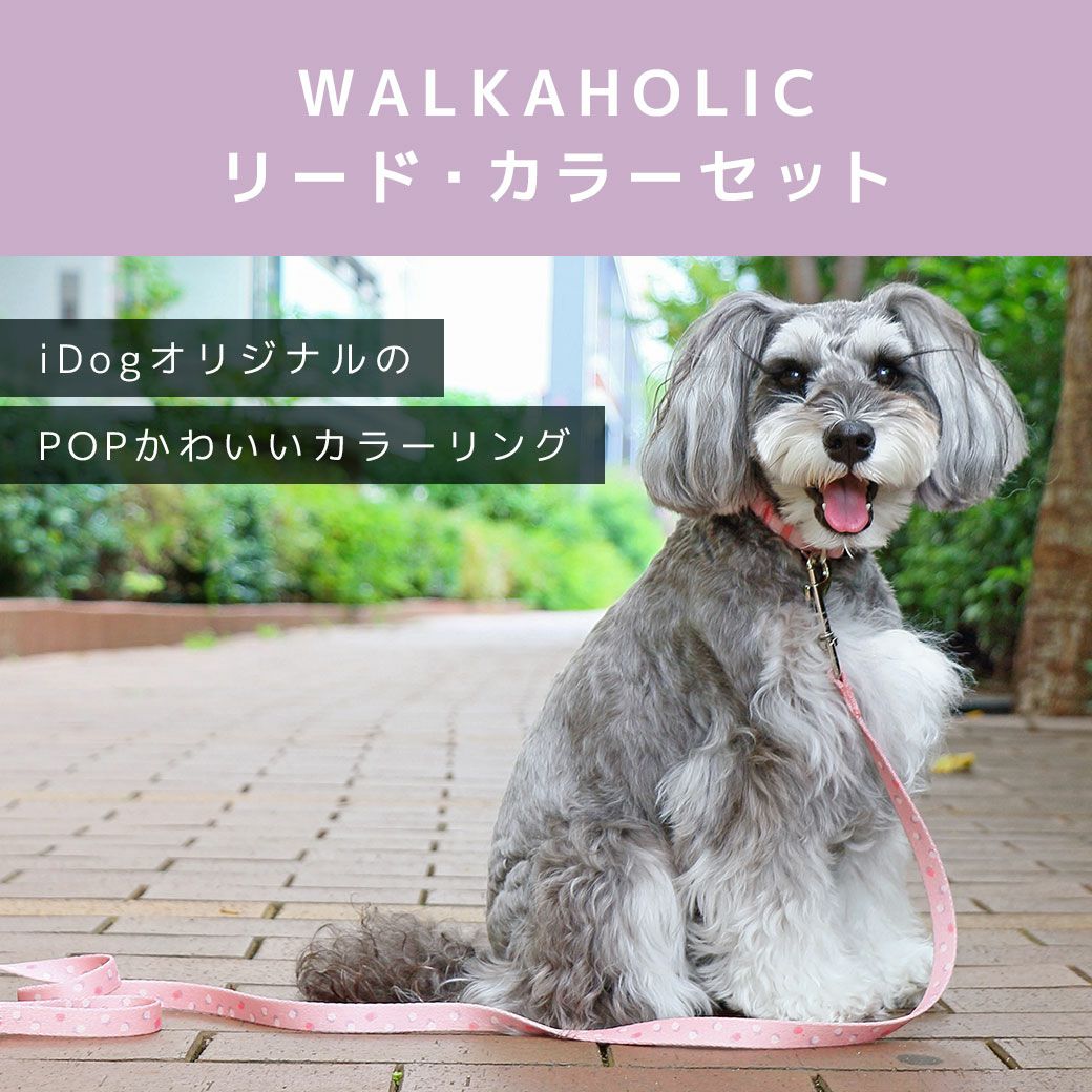 iDogWALKAHOLICリード・カラーセットアイドッグ