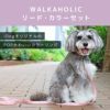 iDogWALKAHOLICリード・カラーセットアイドッグ