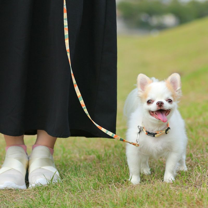 iDog WALKA HOLIC リード・カラーセット アイドッグ-犬猫ペット用品