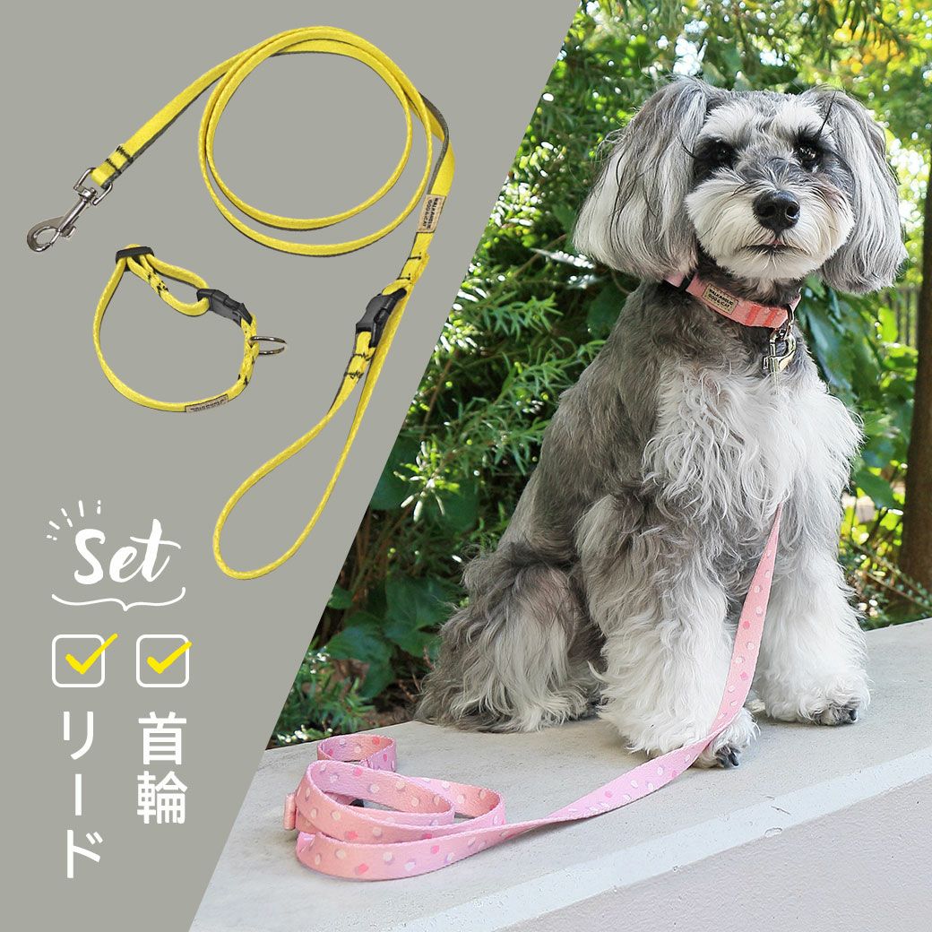 首輪とリードのセット