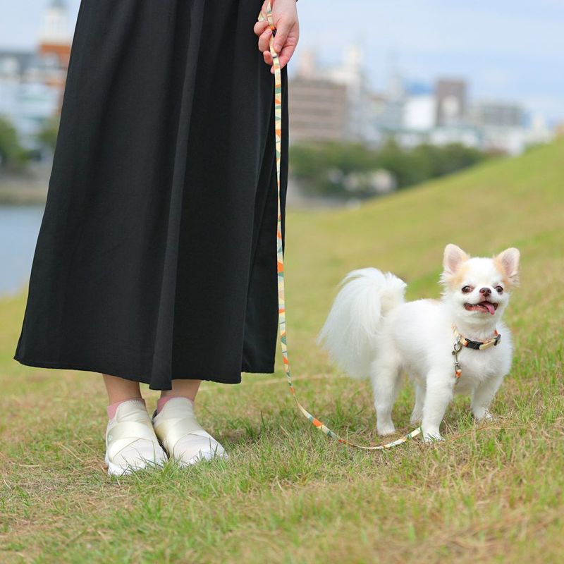 犬服・アクセサリー Aiko 楽天市場】【 犬 首輪 リード 】iDog WALKA HOLIC リード