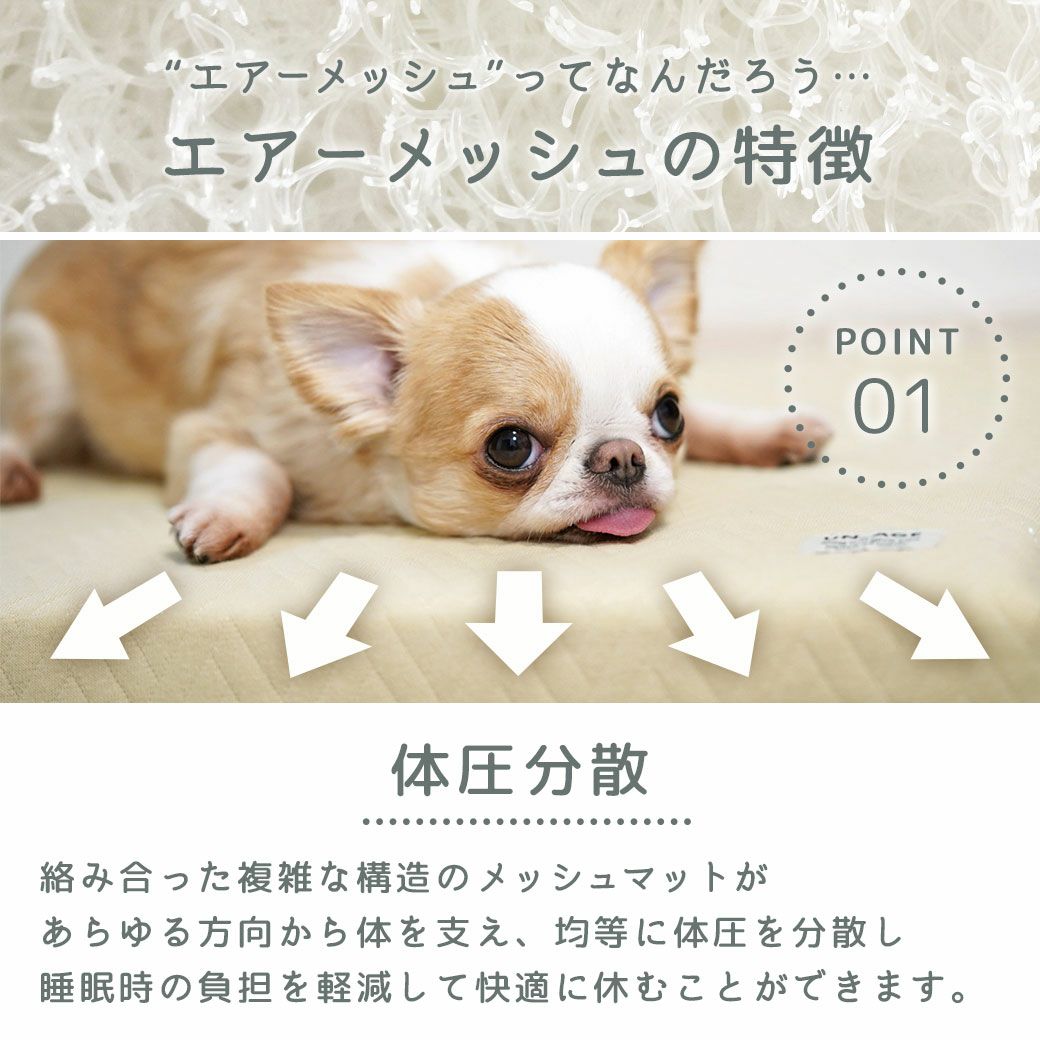 エアーメッシュの特徴