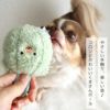 鈴入りのボール型犬用おもちゃ